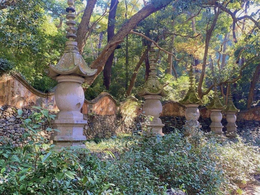 2023年度公司团建活动 | 台州诗意仙踪